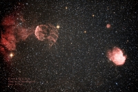 IC443 & NGC2174