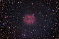 Cocoon Nebula(IC-514